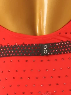 Latin Dance Dresses Ture Red Women's Fringe Lycra Spandex Dress Dancing Wear
