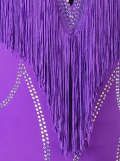 Latin Dance Dresses Violet Women's Lycra Spandex Dress Dancing Costume