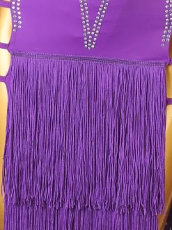 Latin Dance Dresses Violet Women's Lycra Spandex Dress Dancing Costume