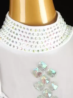Latin Dance Dresses White Women's Fringe Rhinestones Backless Elegant Lycra Spandex Dress Dancing Wear