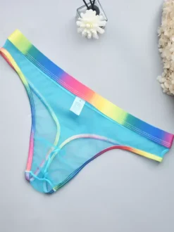 Male Sexy Panties Blue Sheer Men's Lingerie