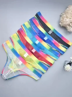 Male Sexy Panties Blue Sheer Men's Lingerie