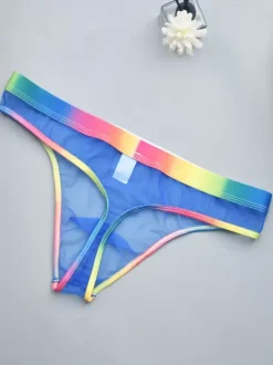 Male Sexy Panties Blue Sheer Men's Lingerie