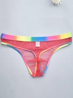 Male Sexy Panties Blue Sheer Men's Lingerie