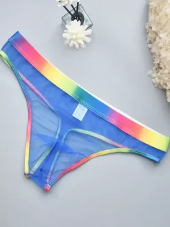 Male Sexy Panties Blue Sheer Men's Lingerie