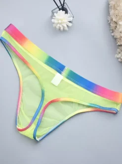 Male Sexy Panties Blue Sheer Men's Lingerie