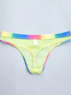 Male Sexy Panties Blue Sheer Men's Lingerie
