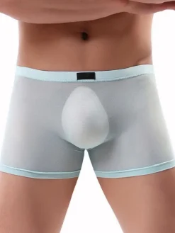 Male Sexy Panties Boxer Tulle Men Lingerie