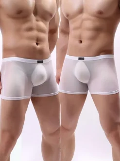 Male Sexy Panties Boxer Tulle Men Lingerie