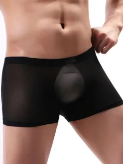Male Sexy Panties Boxer Tulle Men Lingerie