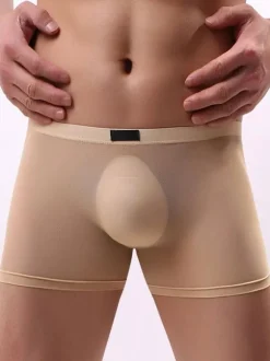 Male Sexy Panties Boxer Tulle Men Lingerie