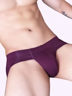 Male Sexy Panties Grey Modal Tanga Men Lingerie