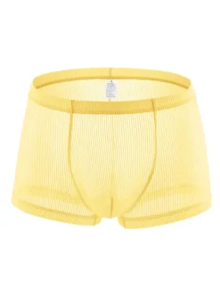 Men's Briefs Polyester Transparente Solid