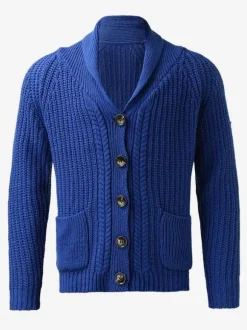Men's Clothing Men's Cardigan Men's Sweaters Men's Cardigans Simple Long Sleeves Blue Blue Special