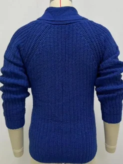 Men's Clothing Men's Cardigan Men's Sweaters Men's Cardigans Simple Long Sleeves Blue Blue Special