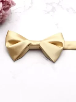 Men's Dress Bowties in Satin