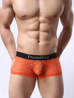 Men Sexy Lingerie Black Lycra Spandex Semi Sheer Boxer Briefs