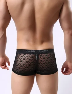 Men Sexy Lingerie Black Lycra Spandex Semi Sheer Boxer Briefs
