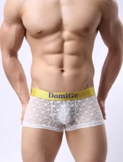 Men Sexy Lingerie Black Lycra Spandex Semi Sheer Boxer Briefs