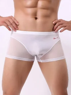 Men Sexy Lingerie Semi Sheer Patchwork Nylon Boy Shorts