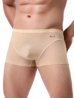 Men Sexy Lingerie Semi Sheer Patchwork Nylon Boy Shorts