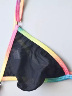 Men's G-String Rainbow Waistband Sheer Mesh See-Through Thong Underwear