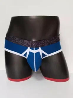 Men's Lingerie Sexy Panties Brief Blue Solid Color Cotton Thong