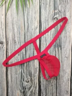 Men's Lingerie Sexy Panties Thong Knit Red Sheer Brief