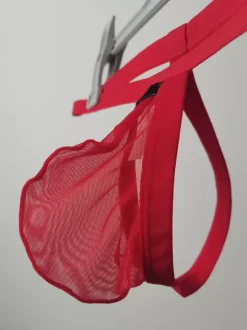 Men's Lingerie Sexy Panties Thong Knit Red Sheer Brief