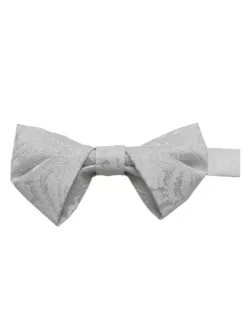 Men's Paisley Print Bowties