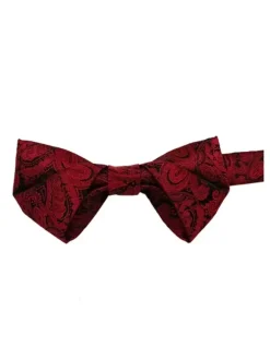 Men's Paisley Print Bowties