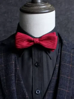 Men's Stripes Bowties