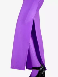 Morph Suit Purple Two-piece Suit Lycra Spandex Fabric Zentai Suit Unisex Full Body Suit