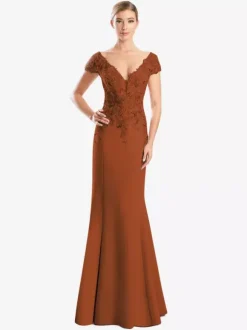 Mother Dress V-Neck Short Sleeves Mermaid Lace Guest Dresses For Wedding