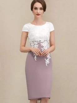 Mother Dress Jewel Neck Short Sleeves Short Lace Guest Dresses For Wedding