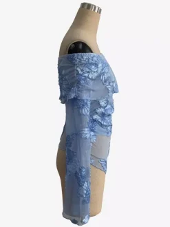 Off Shoulder Mesh Long Sleeve Top With 3D Floral Embroidery For Women 2026