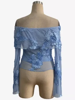 Off Shoulder Mesh Long Sleeve Top With 3D Floral Embroidery For Women 2026
