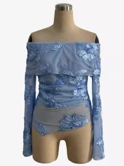 Off Shoulder Mesh Long Sleeve Top With 3D Floral Embroidery For Women 2026