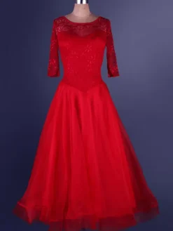 Organza Ballroom Dance Dress Lace Patchwork Semi Sheer Pleated A Line Ballroom Dancing Costume
