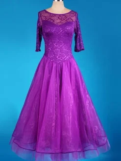 Organza Ballroom Dance Dress Lace Patchwork Semi Sheer Pleated A Line Ballroom Dancing Costume