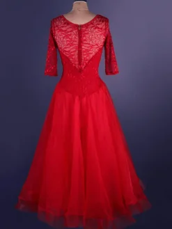 Organza Ballroom Dance Dress Lace Patchwork Semi Sheer Pleated A Line Ballroom Dancing Costume