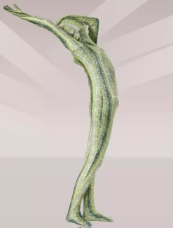 Patterned Zentai Suits Morph Suit Olive Green Python Print Lycra Spandex Fabric Zentai Suit Unisex Full Body Suit
