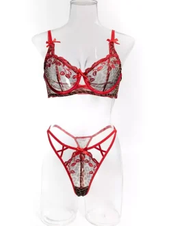 2-Piece Lingerie Sheer Red Leopard Print Bra Panty Sets