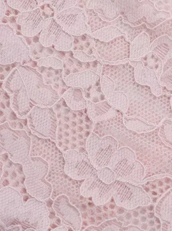 Pink Corset Style Lace Top For Women - Elegant Long Sleeve Sweetheart Bustier Blouse - Spring Night Out Clubwear 2026