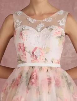 Pink Prom Dress 2026 Long Floral Print Organza Pageant Dress Backless Chapel Train Party Dress Free Customization