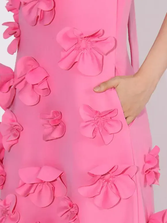 Pink Sleeveless Maxi Dress With 3D Floral Embellishments