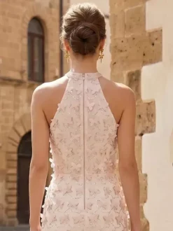 Prom Dress Evening Dress Short Illusion Neckline Short Sleeveless Zipper Lace Lace Formal Party Dresses