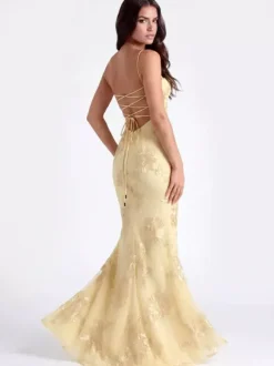 Prom Dress Mermaid Sweetheart Neck Sleeveless Lace-up Flowers Lace Formal Party Dresses