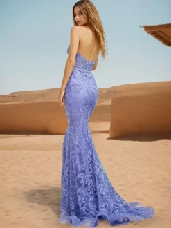 Prom Dress Mermaid Sweetheart Neck Lace Sweep Lace Formal Dinner Dresses