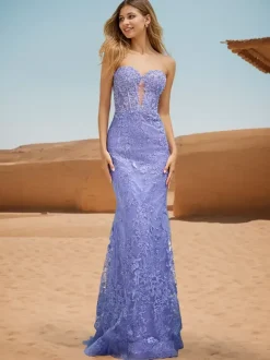 Prom Dress Mermaid Sweetheart Neck Lace Sweep Lace Formal Dinner Dresses